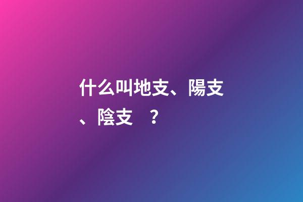 什么叫地支、陽支、陰支？